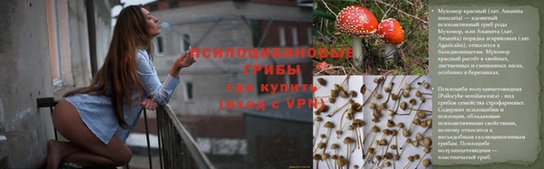 дживик Беломорск