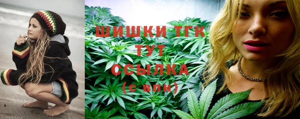 бошки Белокуриха