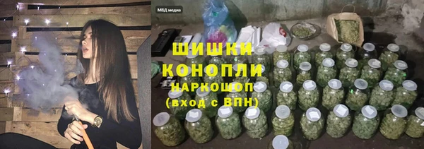 бошки Белокуриха