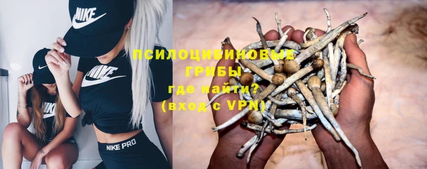 бошки Белокуриха