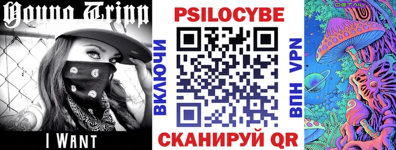 дарк нет как зайти  Дагестанские Огни  Псилоцибиновые грибы Cubensis 