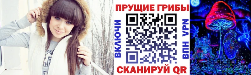 Псилоцибиновые грибы GOLDEN TEACHER Дагестанские Огни