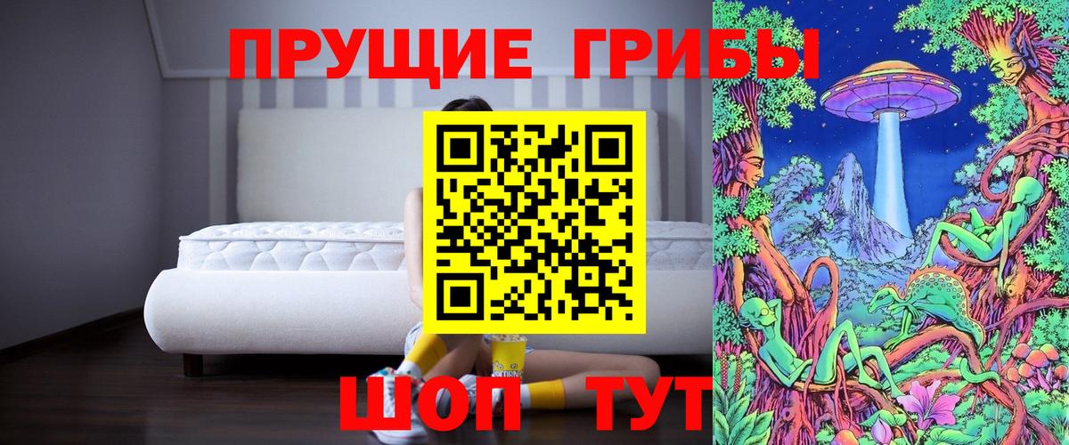 Галлюциногенные грибы Magic Shrooms  Псилоцибиновые грибы Magic Shrooms  Вход с VPN  Дагестанские Огни 