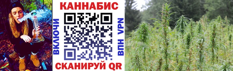 Бошки марихуана планчик  хочу   Дагестанские Огни 